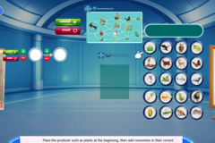 Food Chain Model